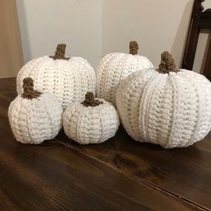 Clear out sale! White pumpkin set of 5